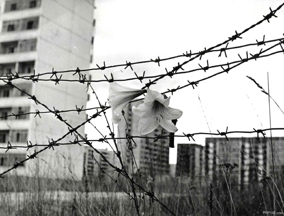 Республиканский конкурс на лучшую исследовательскую работу